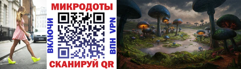 Галлюциногенные грибы мухоморы  Гаврилов-Ям 